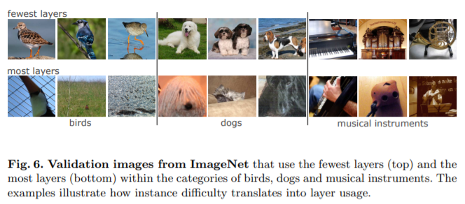 Convolutional%20Networks%20with%20Adaptive%20Inference%20Gra%205c731fbfed5b4f93b6b49bc30f331d18/Untitled%209.png